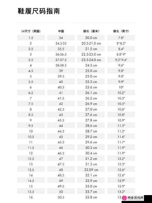 日本尺码专线欧洲 B1B2 ：连接亚欧时尚的精准桥梁